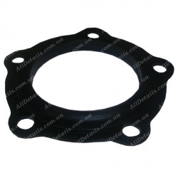 Прокладка бойлера 290173, 571312, 924001 (38001)